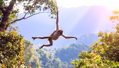 A monkey swinging through trees in a lush green jungle with mountains in the background