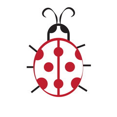 Abstract Illustration and vector with white backround