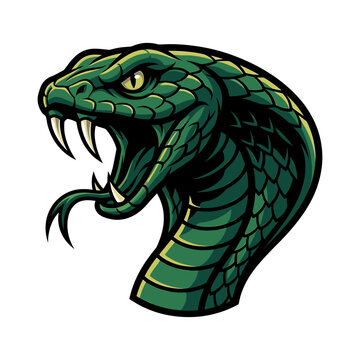 Illustration of a green snake's head with an open mouth and visible fangs against a white background.