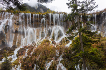 Fototapeta premium The beautiful Nuorilang Waterfall in Jiuzhaigou National Park, Sichuan Province, stands 24.5 meters high and 320 meters wide. This is one of the six wonders of Jiuzhaigou