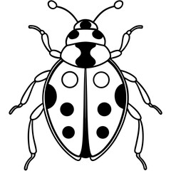 ladybird vector illustration