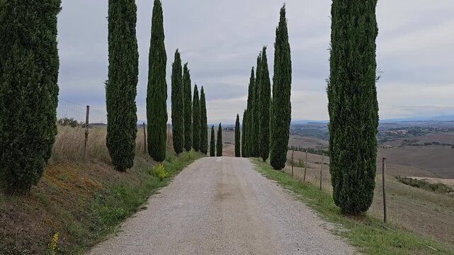 Tilt Down Footage of Road in Tuscany. Region Stretches from Mountains to Sea. Each Area has its Own Character. Together They Form a Complete Landscape.