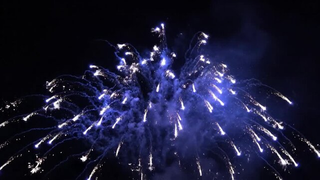 Dynamic blue firework spectacle illuminating the dark night sky with vibrant bursts and shimmering sparks for a truly grand festive celebration