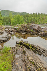 Wild river in Norway with forest on riverbanks, and mountains in the background. In the foreground, ricjs and plants. Rainy summer day, overcast weather. Rainy day, beautiful nature in the north.