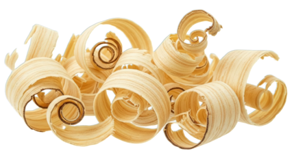 Pine wood shaving curled naturally, isolated on transparent or white background