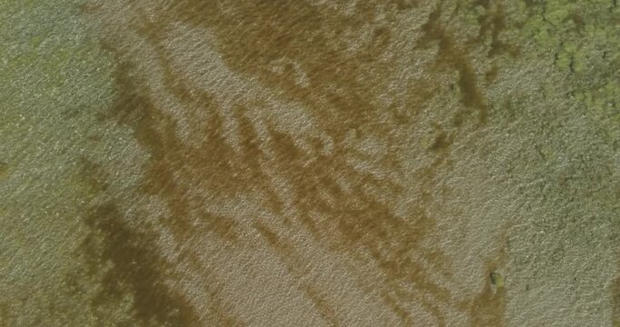 Aerial view of a shallow water coastal area, displaying natural underwater textures. The lighter, rippled areas are most likely sand, while the darker and greenish patches are a mix of submerged veget