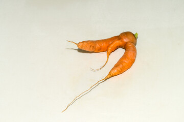 Abnormal shape of carrots roots  on white background wth shadow