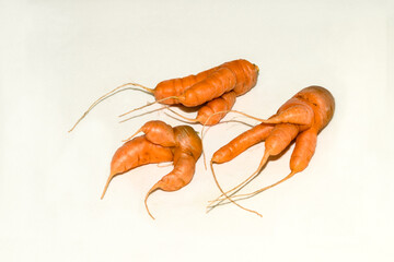 Abnormal shape of carrots roots  on white background wth shadow