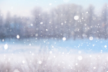 Fototapeta premium Blurred snow background. Winter landscape. Trees and plants covered with snow.