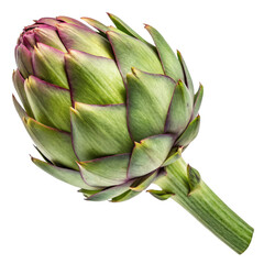 Fototapeta premium Artichoke with vibrant green leaves and purple tips on a white background