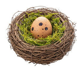 Obraz premium Bird nest with egg among green moss nature still life isolated on transparent background