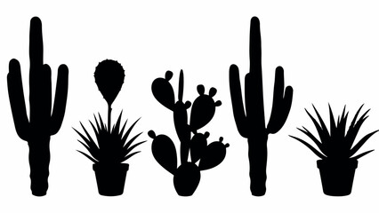 Fototapeta premium Silhouettes of various desert cacti and succulents in pots.