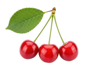 Three red cherries with green leaf isolated on a transparent background cherry fruit