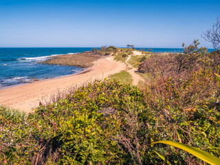Coastal View with Vegetation Yuraygir National Park