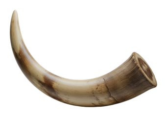 Ancient horn artifact museum display cultural exhibit isolated on transparent background