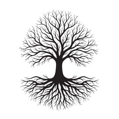 Black and white of a tree with visible roots and branches 1