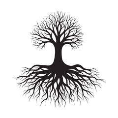 Black and white of a tree with visible roots and branches 2