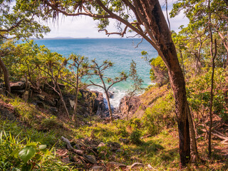 Noosa Headland View of Sea Through Trees