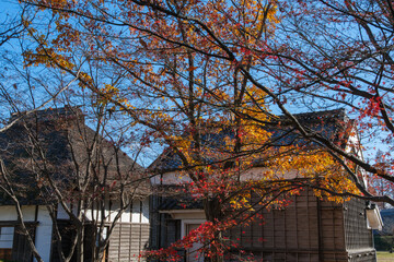 茅葺屋根と瓦屋根