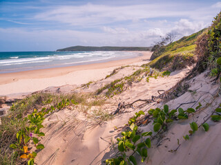 Coastal View with Vegetation Yuraygir National Park