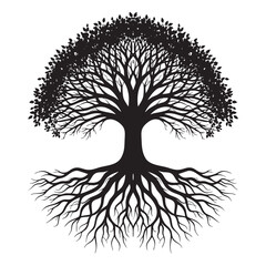 Black and white tree with extensive roots and branches on white background leaves nature