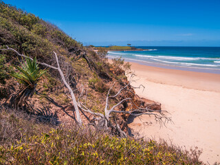 Coastal View with Vegetation Yuraygir National Park