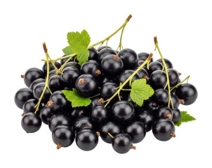 Fresh blackcurrants harvested in nature view organic fruits isolated on transparent background