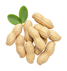 Harvesting peanuts agricultural field food outdoors isolated on transparent background