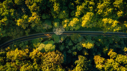 Aerial view of roads and forest in the evening; environmentally friendly travel and transportation.