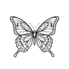 Detailed black and white line of a butterfly with intricate wing patterns and antennae line black and white
