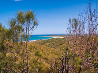 Coastal View with Vegetation Yuraygir National Park