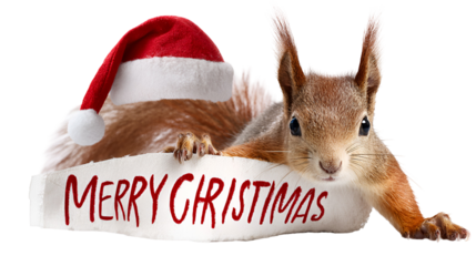 Squirrel wearing santa hat wishes merry christmas