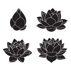 Four black and white line lotus flower with varying petal details line floral petals outline
