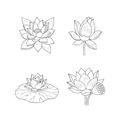 Four black and white line of lotus flowers in different stages of bloom line botanical plant