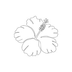 Single line of a hibiscus flower with stamen and pistil outline single line outline