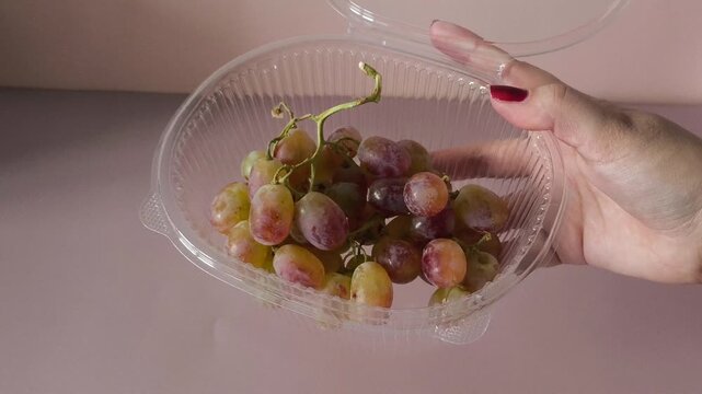 Open container of Taifi grapes in a woman's hand close-up. Storing berries