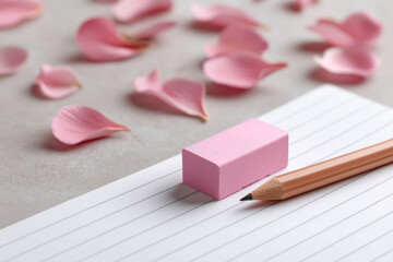 Eraser, pencil, shavings feel artistic on paper