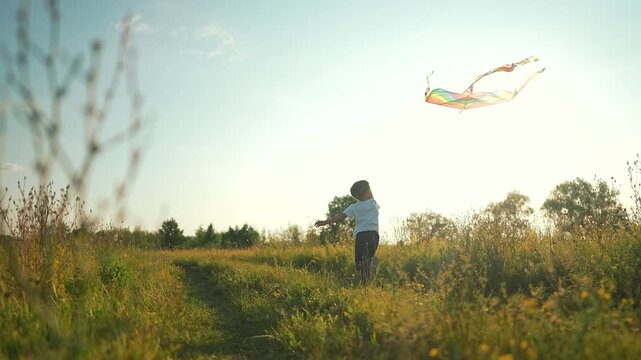 Boy flies kite running through meadow at sunset. Child plays with rainbow kite outdoors. Kid runs on path flying kite. Boy enjoys kite flying in meadow. Child with colorful kite in field.
