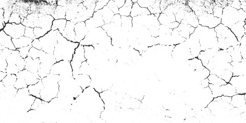 Obraz premium Black cracked texture on white background abstract pattern 1