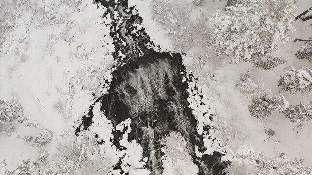 Twin Falls in California, capturing the contrast between churning white water and the pristine snow-covered conifers of the Sierra Nevada, drone top down perspective tracking shot.