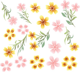 set of flowers Floral Pattern, Botanical Illustration, Hand Drawn Flowers, Line Art Flowers, Watercolor Flowers Vector, Vintage Floral, Floral Elements,