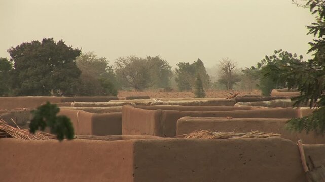 Mud-brick Sahel village compound with flat roofs and surrounding trees on a hazy dry season day, traditional rural architecture in West Africa.