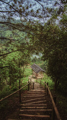 Obraz premium A wooden stairway descends through dense forest toward a small hut in a rural area during daytime, presenting peaceful nature scenery for travel exploration.