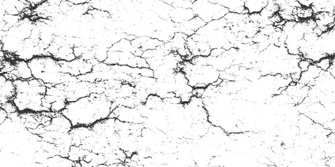 Fototapeta premium Black cracked texture on white background abstract pattern 5
