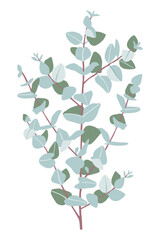 Eucalyptus baby blue branch vector