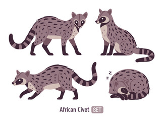 Civet cute palm animal poses set. Agile, arboreal toddy cat, greyish colour, black spots musang funny tropical Asia, Africa creature, zoo, amazing wild life. Vector flat style cartoon illustration