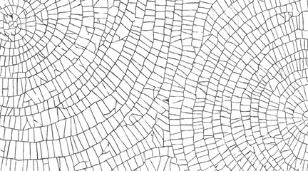 Obraz premium Black and white abstract pattern of intersecting lines forming geometric shapes