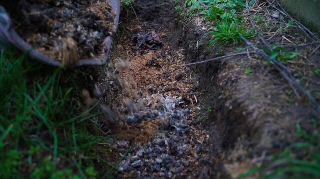 Chicken manure mixed with sawdust is poured into a settling pit