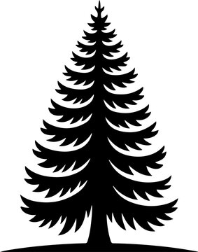 Douglas Fir tree silhouette vector illustration
