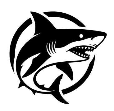 shark vector illustration